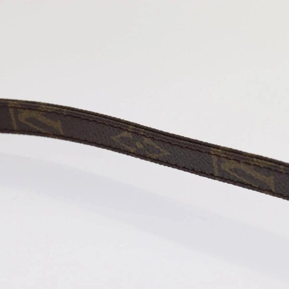 LOUIS VUITTON Monogram Mini Amazon Shoulder Bag - Picture 11 of 16